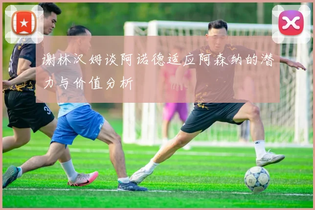 谢林汉姆谈阿诺德适应阿森纳的潜力与价值分析
