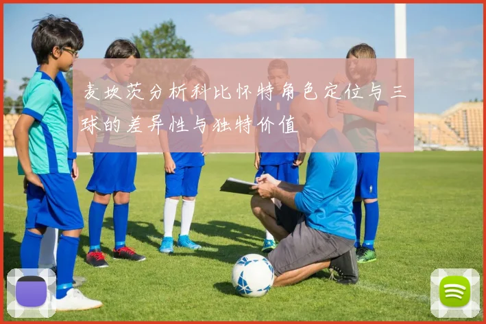 麦坎茨分析科比怀特角色定位与三球的差异性与独特价值
