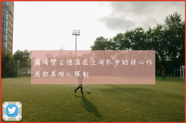 周琦赞古德温在上海队中的核心作用称其难以限制