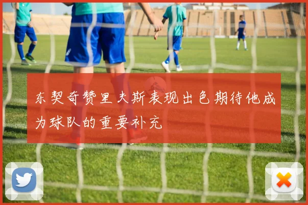 东契奇赞里夫斯表现出色期待他成为球队的重要补充